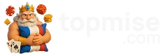 Topmise Casino Comparison Platform Logo